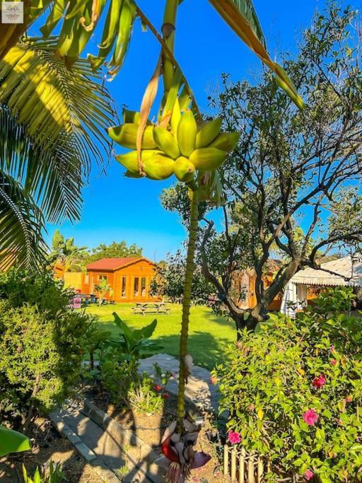 Finca Tierra Sana Естепона Екстериор снимка